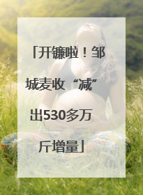 开镰啦！邹城麦收“减”出530多万斤增量
